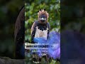 🔥 Top 5 Deadliest Birds on Earth! 🐦☠️ #Shorts