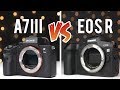 Sony A7iii vs Canon EOS R | Full Frame Mirrorless Showdown