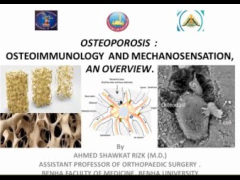 Video: Osteoimmunologia Reumasairauksissa