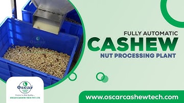 Fully Automatic Cashew Nut Processing Plant | Cashew Cutting Machine | Oscar Cashew Tech Pvt. Ltd.
