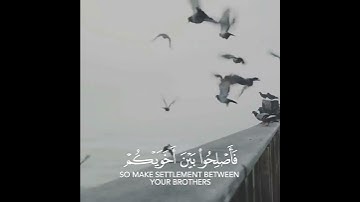 إنما المؤمنون إخوة 🌹 احمد النفيس حالات واتس اب دينية قصيرة مؤثرة قرآن كريم تلاوة خاشعة انستا