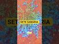 Sete-Sangrias: A Planta Natural Que Ajuda na Limpeza do Corpo e Reduz o Inchaço #SeteSangrias