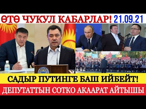 Video: Иттин куйругу иштебей калганда