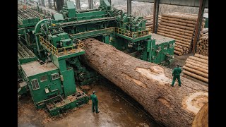 The Plywood Process You’ve Never Seen - Inside The Largest Sawmill (Logs To Table)