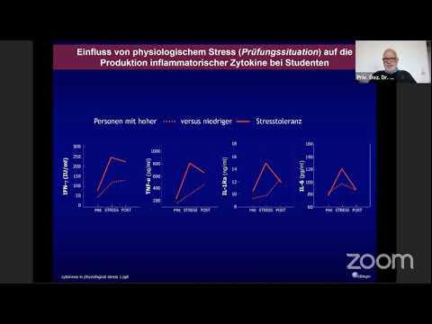 Vortrag: Neuroendokrine Grundlagen in der Stressmedizin von Dr.  Bieger | doctaris CME-Kongress