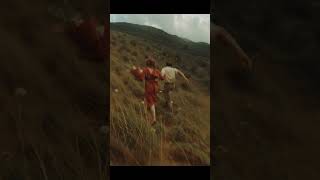 Subscribe for daily playlist recommendations!