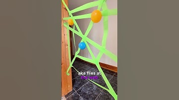 Easy Spider Web Game for Toddlers | DIY Motor Skills Activity