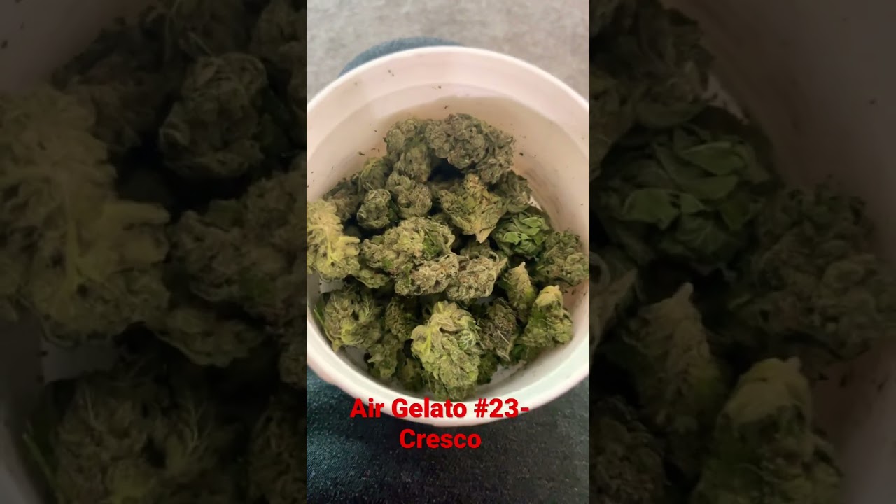 Air Gelato #23- Cresco