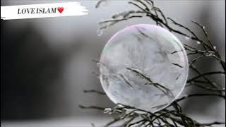 Surah mulk Abdullah Al Musa Heart touching voice #love-islam