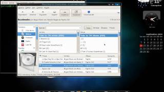 ArchLinux + Gnome + Compiz + Screenlets + Gnome-do