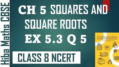 8th maths chapter 5 squares and square roots exercise 5.3 question 5 | CBSE NCERT maths solutions