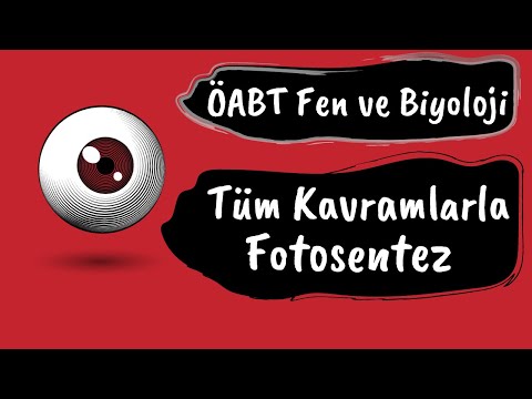 Video: Döngüsel Olmayan Fotofosforilasyon Nedir?