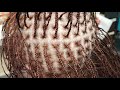 Braidloc Install With Sis & Loc Q&A