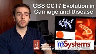 Gbs Cc17 Evolution In Carriage And Disease - Msystems