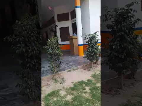 Tarbiyah School