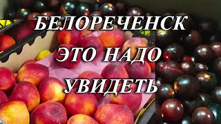 597ч Живём в Краснодарском крае посёлок Родники/Обзор продуктов из Светофора