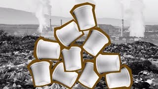 Five Things You Can Recycle | Consumer 101