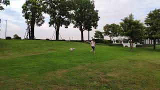 1080627奇美博物館放飛訓練-3