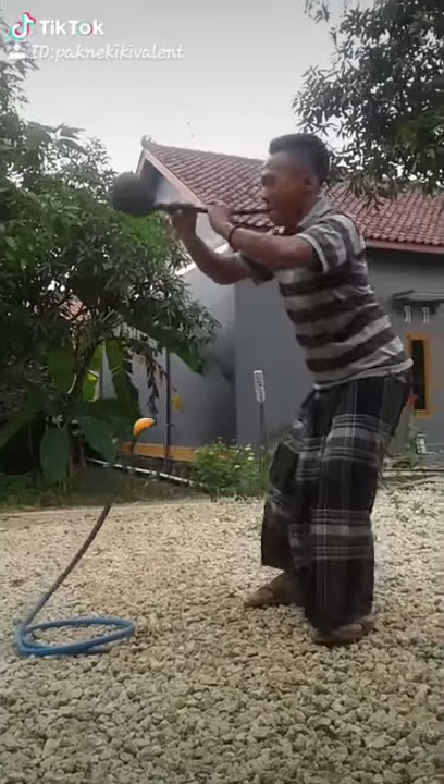 seruling ular