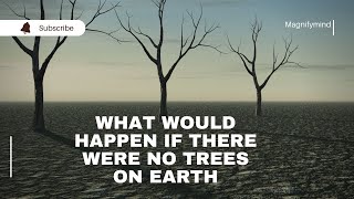 Answered: What would happen if there were no trees on earth