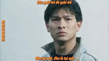 Vietsub_Đều Tại Anh 都怪我 - Lưu Đức Hoa 劉德華 | Phim Thiên Nhược Hữu Tình 天若有情 A Moment Of Romance 1990