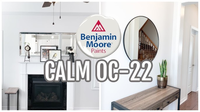Benjamin Moore Silver Satin OC-26: Paint Color Review - Kylie M