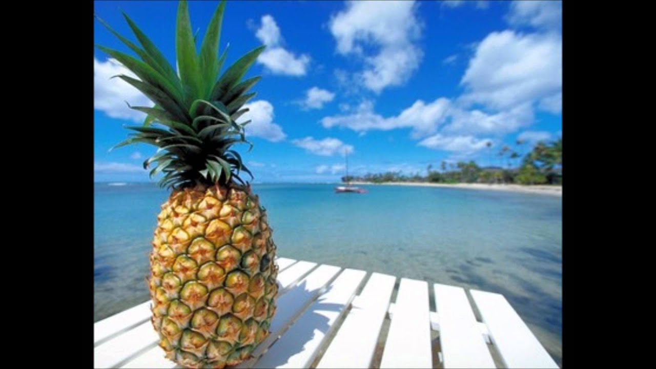 "hot spot" foxy brown