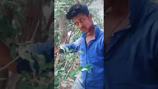 Is Gusse Ko Thanda Mat Hone De Guru