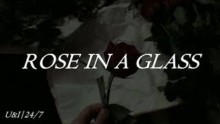 Provoker - Rose In a Glass (Sub español)