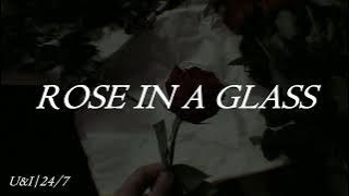 Provoker - Rose In a Glass (Sub español)