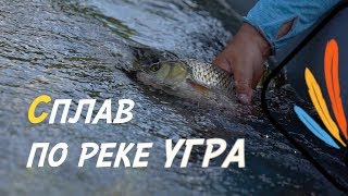 СПЛАВ ПО РЕКЕ УГРА