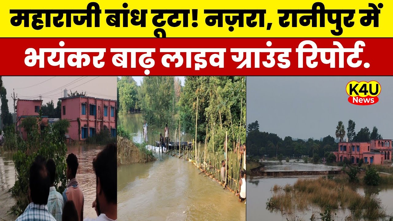 Bihar Flood Alert! महाराजी बांध टूटा, Nazra Madhubani Live Ground Report | K4U News Kamran