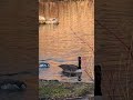 Enjoy the nature