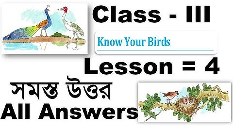 Class 3 Lesson 4 Butterfly Activity 1 to 10 All Question Answer Solved English WB