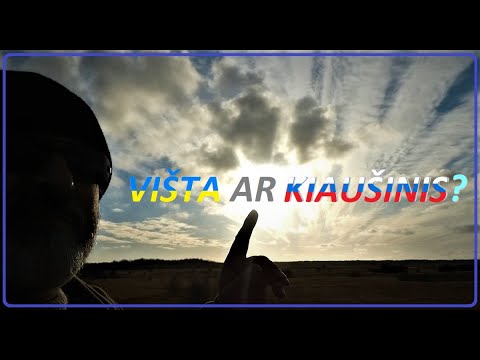 Video: Ar tinka virti šaldytą vištieną?