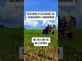 Semeadora e Adubadora MS-40 e MS-60 da Ikeda. #brasil #agro #ikeda