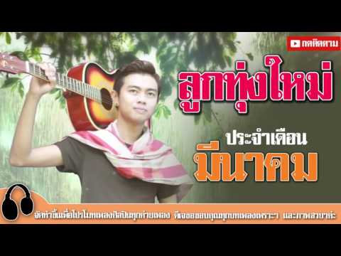  เพลง ลูกทุ่ง 100 ล้าน วิว 2017