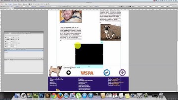 Adobe Muse - How to embed a You Tube video into a Muse Website