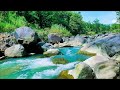 Serene River Sounds | Natural Water Ambience for Calm Mind and Deep Sleep