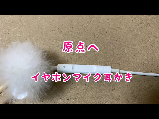 【ASMR】イヤホンに耳かき