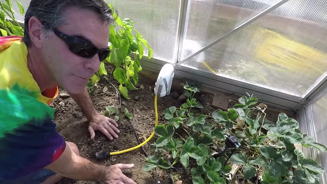 #57 ClimaPod Electricity and Bio Green Palma Greenhouse Heater 2021