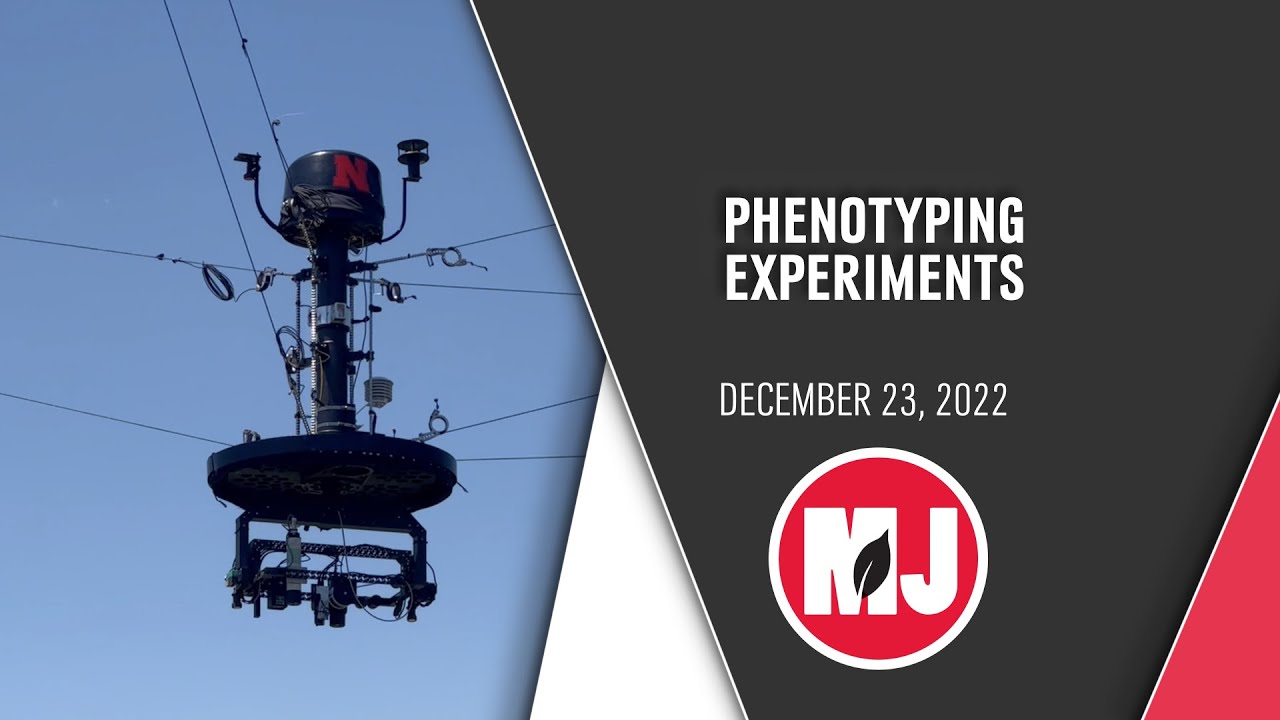 Spider Cam | December 23, 2022