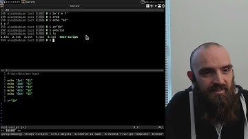 [Bash scripting #3] Double quotes vs NO quotes
