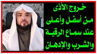 خروج الأذى ( من أسفل وأعلى ) عند سماع الرقية والشرب والإدهان على ماذا يدل؟؟!!