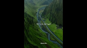 { وجوه يومئذ ناعمة } سورة الغاشية | القارئ عبد الرحمن مسعد 🤍