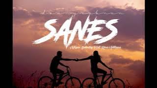 SANES  Niken Salindry feat. Rina Aditama ( LIRIK )