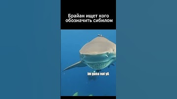 БРАЙАН ТАКОЙ... #аирдропы #мем #крипта #криптовалюта #airdrop #crypto #trading #layerzero #scroll