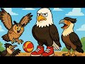 Karakaraspielwiese und Hera bekommt neue „Schuhe“ 🦅 VLOG #114 🦉