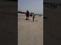 Dubai Mamzar Beach Totally Changed | #shorts  #ytshorts  #mamzarbeach