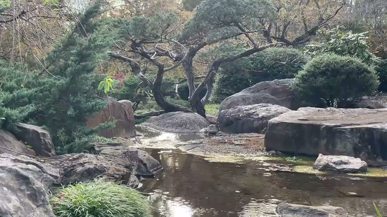 Fall at the Botanical Garden, Birmingham, Alabama - November 2025